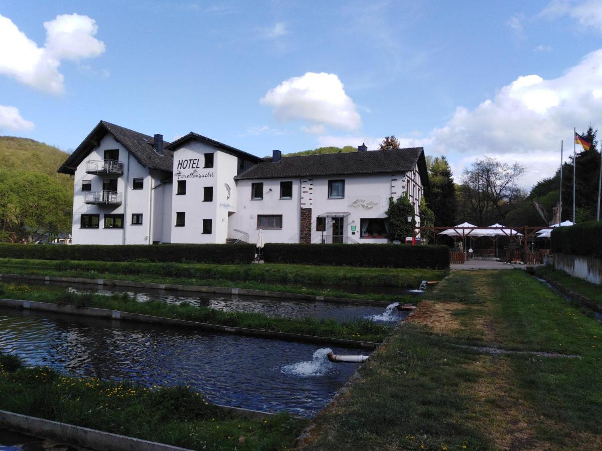 Zimmer Ohne Fruehstueck In Der Forellenzucht Burgen  Ngoại thất bức ảnh