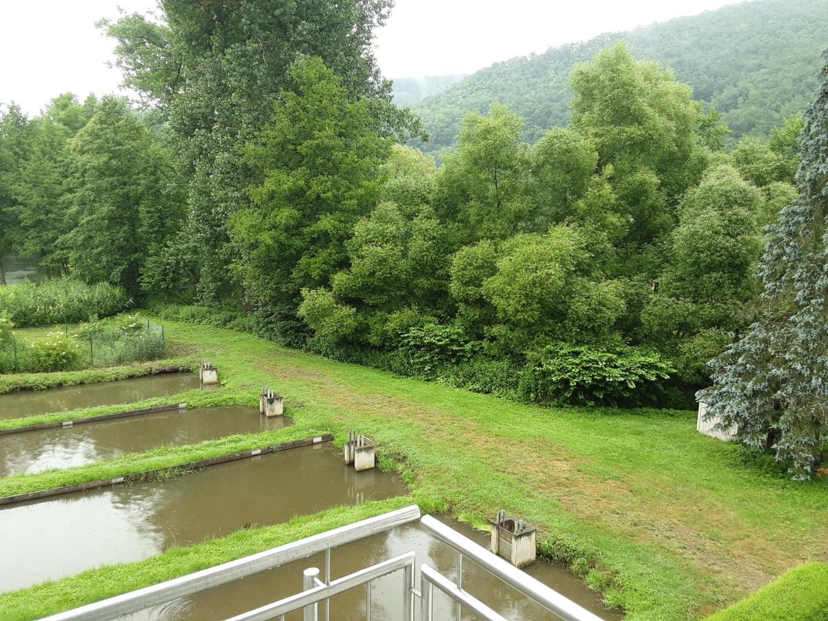 Zimmer Ohne Fruehstueck In Der Forellenzucht Burgen  Ngoại thất bức ảnh